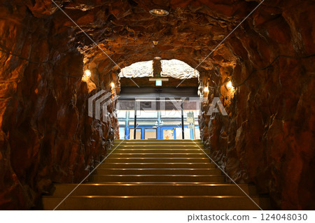 Entrance to the basement 124048030