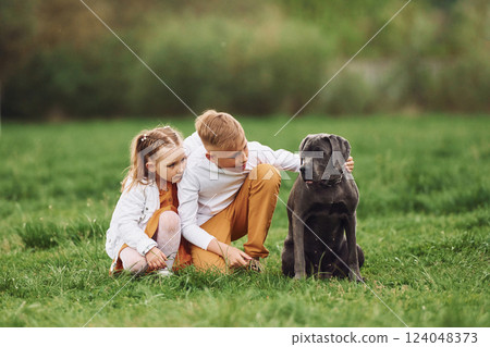 Little brother with his sister having a walk with their dog Little brother with his sister having a walk with their dog 124048373