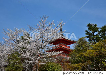 京都東山、清水寺、櫻花盛開的時候 京都東山、清水寺、櫻花盛開的時候 124048457