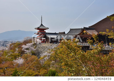 Kyoto Higashiyama, Kiyomizu-dera Temple, when the cherry blossoms bloom Kyoto Higashiyama, Kiyomizu-dera Temple, when the cherry blossoms bloom 124048459
