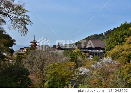 京都東山、清水寺、櫻花盛開的時候 京都東山、清水寺、櫻花盛開的時候 124048462