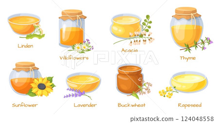 Cartoon honey jars. Honeys mead different type in glass jar or pot, acacia sunflower buckwheat thyme syrup medicine jam ingredients healthy food breakfast, neat vector illustration Cartoon honey jars. Honeys mead different type in glass jar or pot, acacia sunflower buckwheat thyme syrup medicine jam ingredients healthy food breakfast, neat vector illustration 124048558