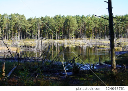 Scenery around Warsaw, the capital of Poland 124048761
