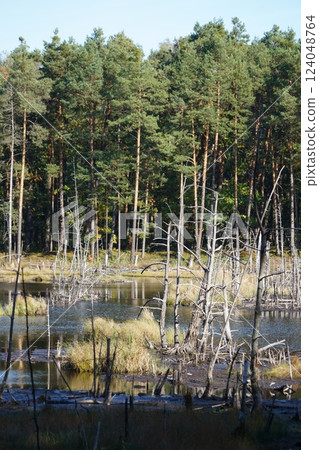 Scenery around Warsaw, the capital of Poland 124048764