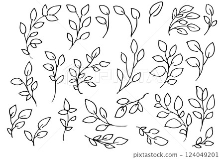 Hand-drawn botanical line drawing illustration of leaves and grass Vector 124049201