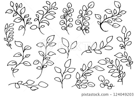 Hand-drawn botanical line drawing illustration of leaves and grass Vector Hand-drawn botanical line drawing illustration of leaves and grass Vector 124049203