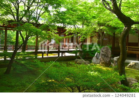 京都Kenninji神社花園 124049281