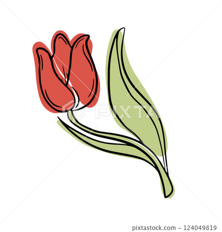 Elegant red tulip with green leaves in a delicate hand-drawn style. A simple floral illustration symbolizing spring, beauty, and nature charm. 124049819