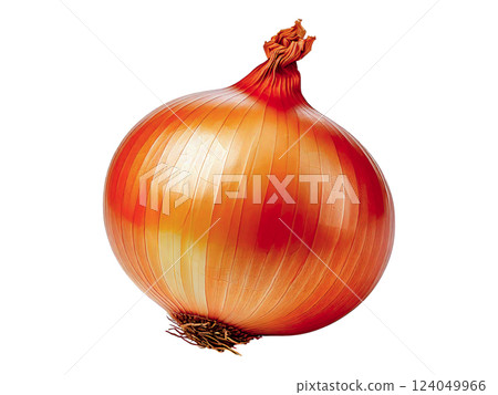 Vibrant studio shot of a single, ripe onion on a white background. Perfect for culinary websites, recipe blogs, or food packaging. Its rich color and detailed texture make it visually striking. Vibrant studio shot of a single, ripe onion on a white background. Perfect for culinary websites, recipe blogs, or food packaging. Its rich color and detailed texture make it visually striking. 124049966