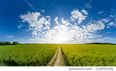 Blue sky and sun in the blue sky White cumulonimbus clouds Ultraviolet rays UV Heat stroke background material Blue sky and sun in the blue sky White cumulonimbus clouds Ultraviolet rays UV Heat stroke background material 124050398
