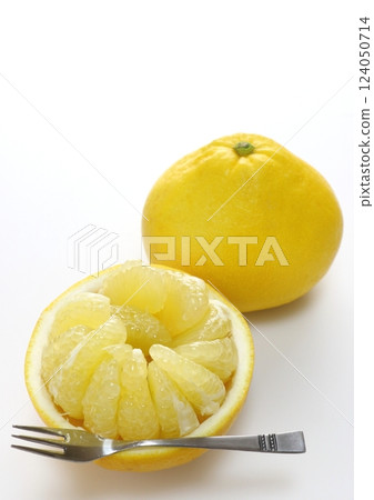 柚子(垂直構圖) 柚子(垂直構圖) 124050714