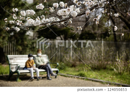 春天,一位祖母和她的孫子在櫻花盛開的公園休息。 春天,一位祖母和她的孫子在櫻花盛開的公園休息。 124050853