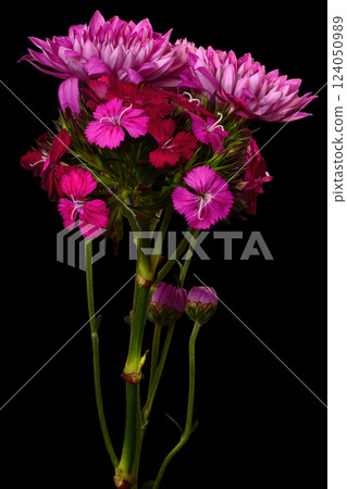 Colorful Flowers Macro isolated 124050989