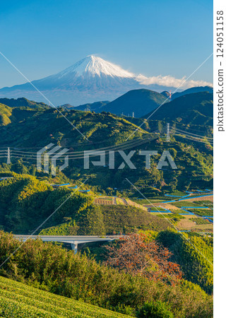 （靜岡縣）從吉原茶田望去，富士山和紅柿子交相輝映 124051158