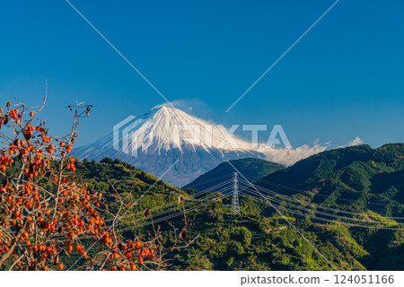 (靜岡縣)從吉原茶田望去,富士山和紅柿子交相輝映 (靜岡縣)從吉原茶田望去,富士山和紅柿子交相輝映 124051166