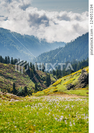 Green mountains with trees, flowers and fresh grass under cloudy sky. Natural landscape concept 124051194