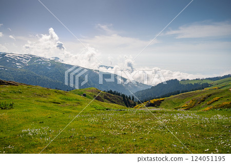 Green mountains with trees, flowers and fresh grass under cloudy sky. Natural landscape concept 124051195
