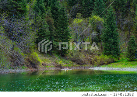 Summer lake kaindy in almaty. clean water in the mountains of kazakhstan Summer lake kaindy in almaty. clean water in the mountains of kazakhstan 124051398