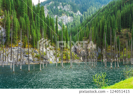 Lake Kaindy in the mountains Almaty. Frozen pines in icy water Kazakhstan. Tree trunks in the lake Lake Kaindy in the mountains Almaty. Frozen pines in icy water Kazakhstan. Tree trunks in the lake 124051415