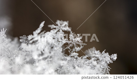 snowflakes, winter card, crystals of snow 124051426