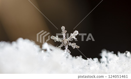 snowflakes, winter card, crystals of snow snowflakes, winter card, crystals of snow 124051461
