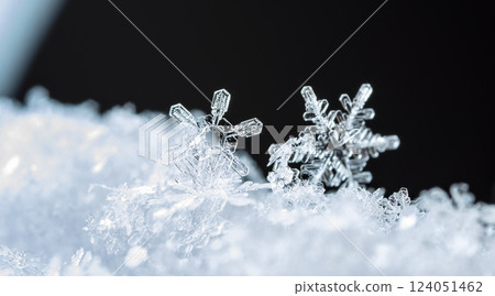 snowflakes, winter card, crystals of snow snowflakes, winter card, crystals of snow 124051462