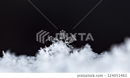snowflakes, winter card, crystals of snow snowflakes, winter card, crystals of snow 124051463