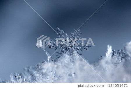 snowflakes, winter card, crystals of snow snowflakes, winter card, crystals of snow 124051471