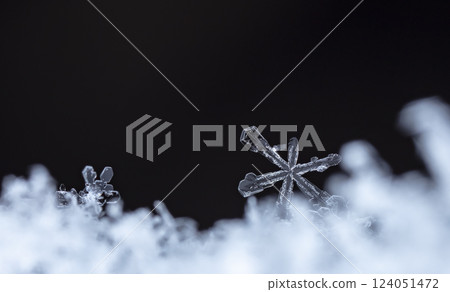 snowflakes, winter card, crystals of snow 124051472