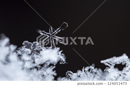 snowflakes, winter card, crystals of snow 124051473