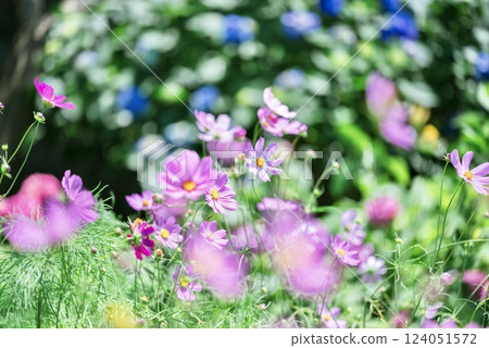 With hydrangea bokeh 124051572