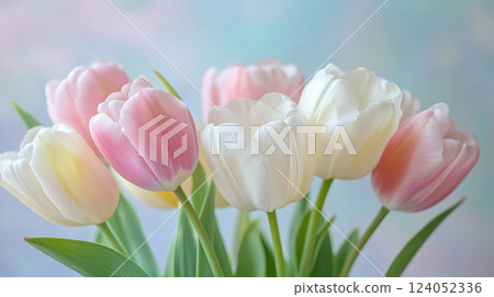 Tulip arrangement heralds the arrival of spring | Pale color expression 124052336
