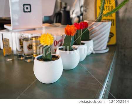 櫃檯上的仙人掌 櫃檯上的仙人掌 124052954