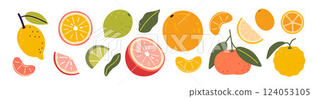 Set of colorful citrus fruits including lemons, oranges, limes, mandarins, yuzu and grapefruit slices. Modern vector illustration isolated on white background, hand drawn, flat design Set of colorful citrus fruits including lemons, oranges, limes, mandarins, yuzu and grapefruit slices. Modern vector illustration isolated on white background, hand drawn, flat design 124053105