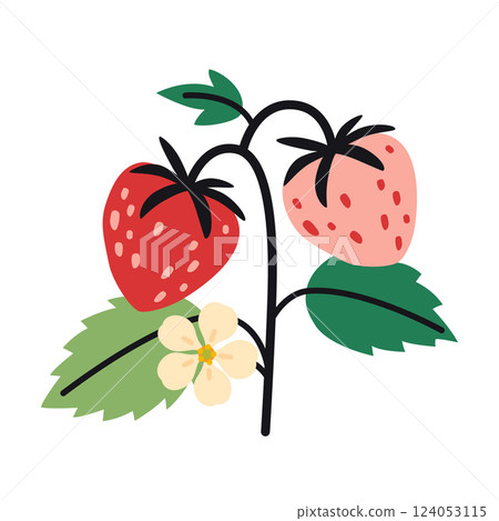 Strawberry plant, plump red and pink berries, green leaves, and flower. Trendy modern vector illustration isolated on white background, hand drawn, flat design Strawberry plant, plump red and pink berries, green leaves, and flower. Trendy modern vector illustration isolated on white background, hand drawn, flat design 124053115
