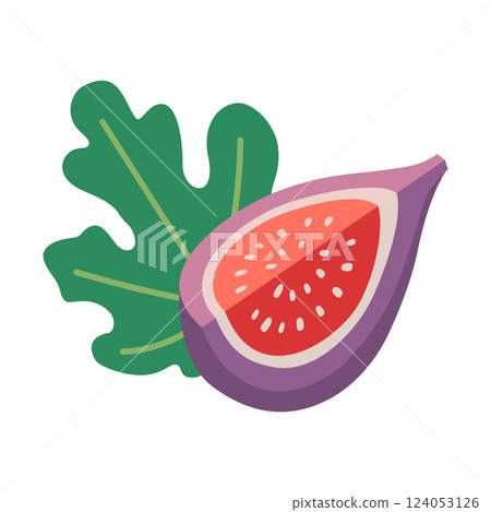 Slice of purple Fig with a seeds and leaf. Modern vector illustration isolated on white background, hand drawn, flat design Slice of purple Fig with a seeds and leaf. Modern vector illustration isolated on white background, hand drawn, flat design 124053126