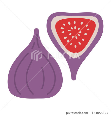 Whole purple Fig and halved fruit with a seeds. Modern vector illustration isolated on white background, hand drawn, flat design 124053127