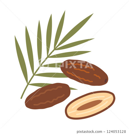 Ripe, brown Dates and green palm leaf. Whole fruit and half with a pit. Modern vector illustration isolated on white background, hand drawn, flat design 124053128