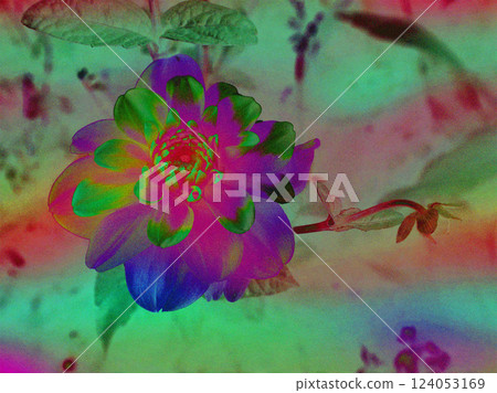 Magical flower in ultraviolet light. The flower bud is fantastically beautiful in the garden at night. Neon colours and trendy grain effect Floral art Magical flower in ultraviolet light. The flower bud is fantastically beautiful in the garden at night. Neon colours and trendy grain effect Floral art 124053169