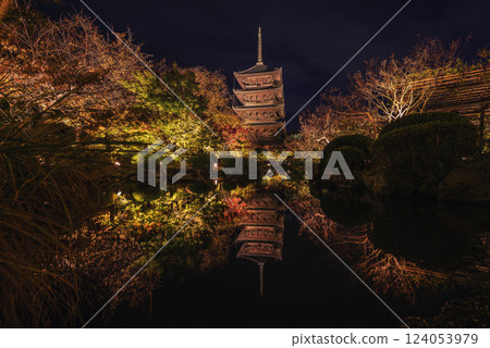 Toji Temple in autumn (night) surrounded by autumn leaves 124053979