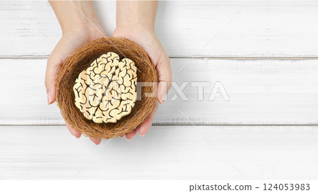 Intellectual Growth and Protection: Hands Holding Wooden Brain Symbol in a Nest 124053983