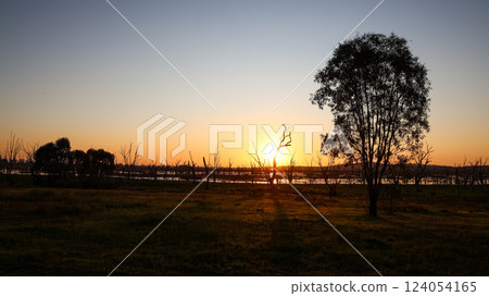 Silhouette sunset at Winton Wetlands, a wetland with stump woods that is home to variety of native flora and fauna in Victoria, Australia. Silhouette sunset at Winton Wetlands, a wetland with stump woods that is home to variety of native flora and fauna in Victoria, Australia. 124054165