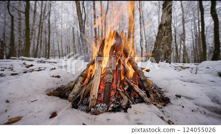 Beautiful Crackling Campfire in the Winter Birch Forest , Authentic Place Beautiful Crackling Campfire in the Winter Birch Forest , Authentic Place 124055026