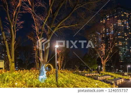 Illuminations at Shinjuku Central Park 124055737