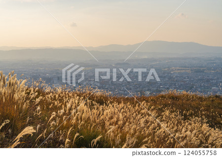 [Autumn] Nara Park - View from Mount Wakakusa 124055758