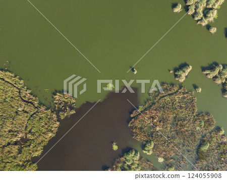 Aerial view of lush wetlands with diverse vegetation and still water reflections 124055908