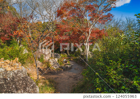 濱松市立山寺的紅葉（靜岡縣） 124055963