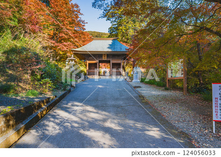 被秋葉環繞的愛知縣豐橋市普門寺仁王門 124056033