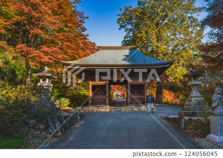 被秋葉環繞的愛知縣豐橋市普門寺仁王門 124056045