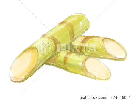 新鮮採摘的甜甘蔗水彩插圖 124056065